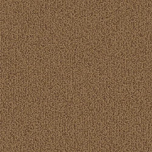 COLOR ACCENTS BL - 54584 - 62101 - Carpet