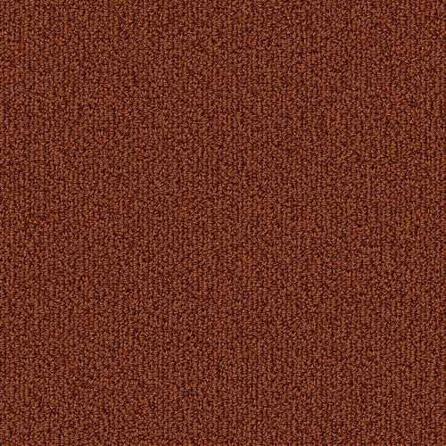 COLOR ACCENTS BL - 54584 - 62665 - Carpet