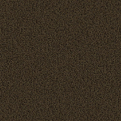 COLOR ACCENTS BL - 54584 - 62309 - Carpet