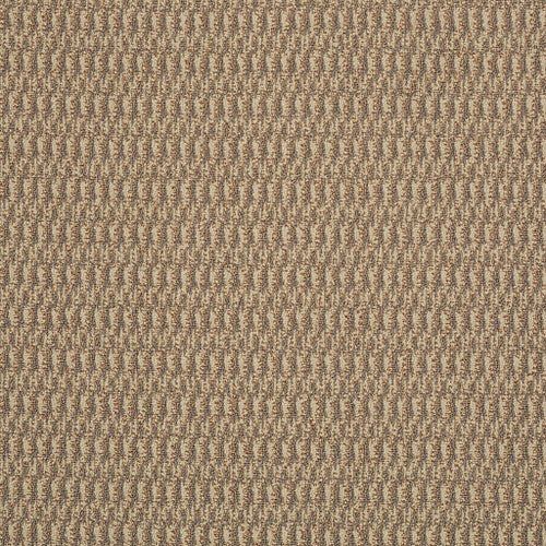 IN HARMONY - 54578 - 78200 - Carpet