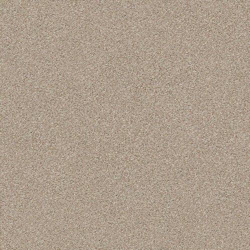 MONTAGE I - 5E081 - 121T - Carpet