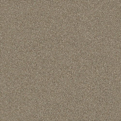 MONTAGE I - 5E081 - 720T - Carpet
