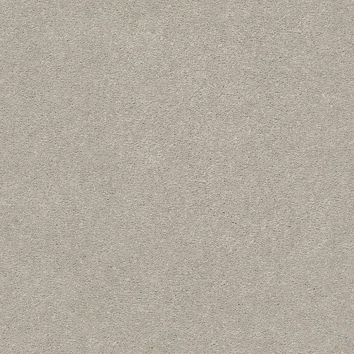 MONTAGE I - 5E081 - 101S - Carpet