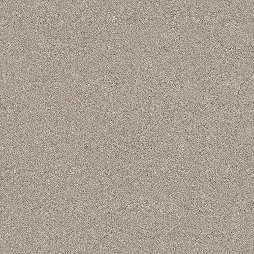 MONTAGE I - 5E081 - 120T - Carpet