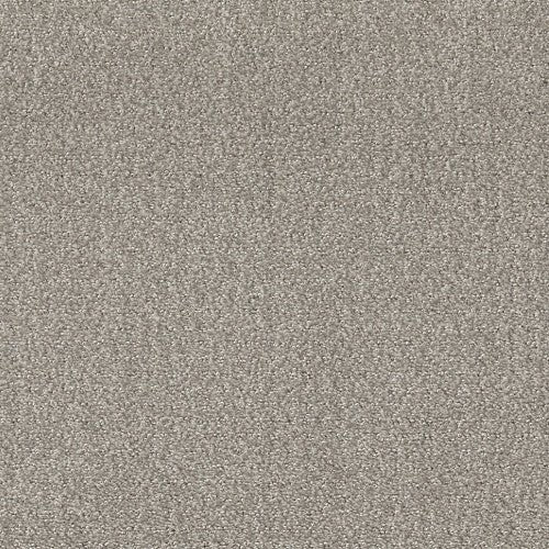 PROFUSION 20 - 54933 - 00505 - Carpet