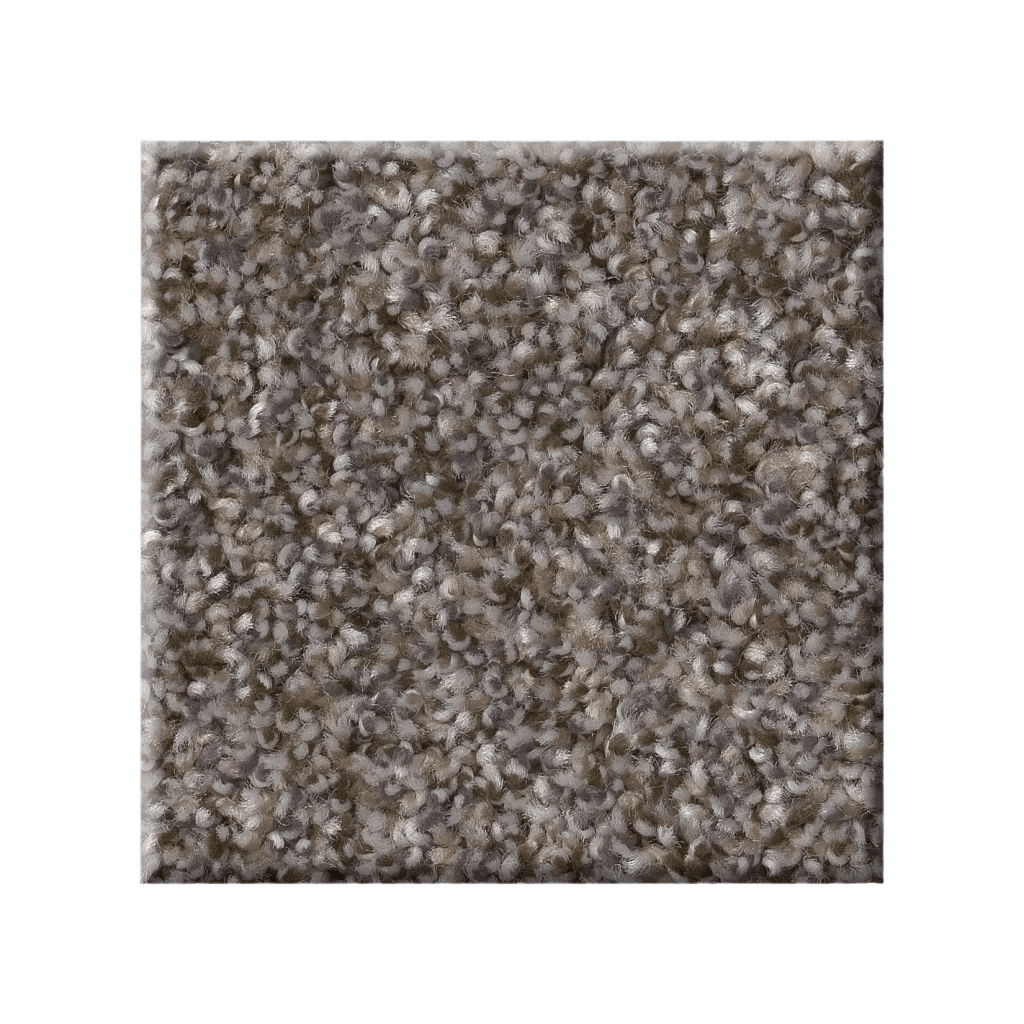 RIGHT CHOICE - 5E542 - 00111 - Carpet