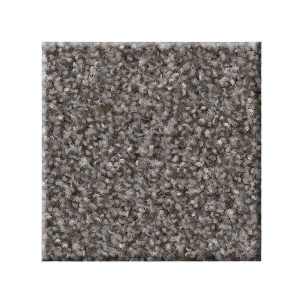 RIGHT CHOICE - 5E542 - 00510 - Carpet