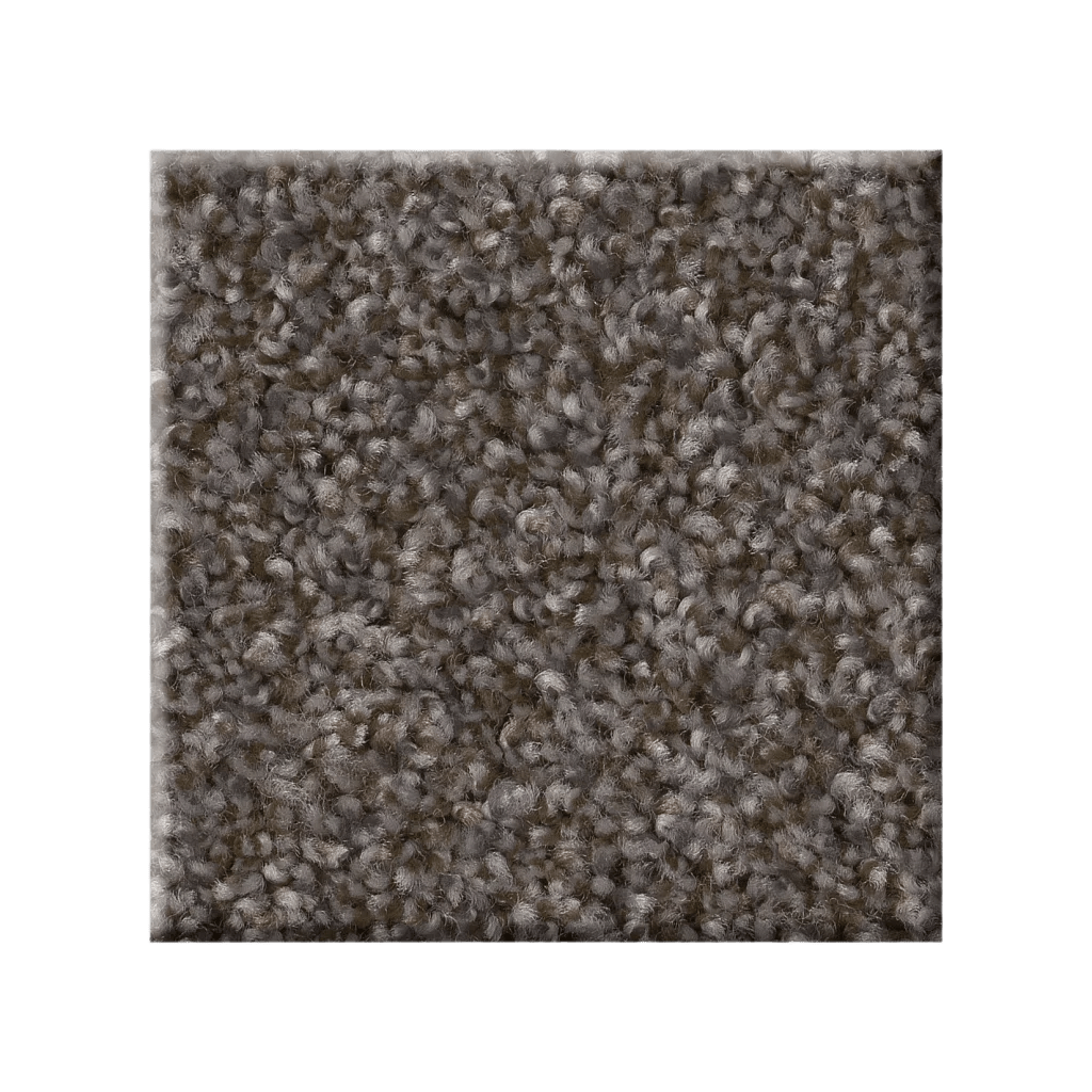 RIGHT CHOICE - 5E542 - 00711 - Carpet
