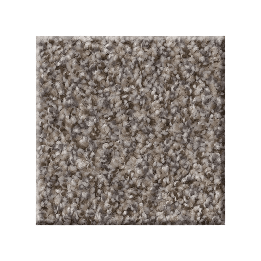 RIGHT CHOICE - 5E542 - 00110 - Carpet