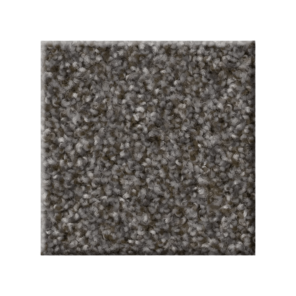 RIGHT CHOICE - 5E542 - 00511 - Carpet