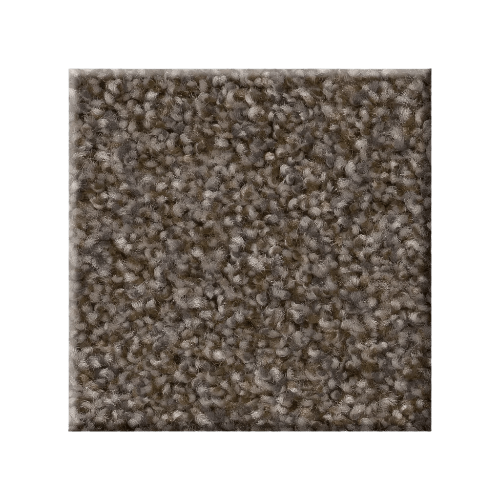 RIGHT CHOICE - 5E542 - 00710 - Carpet