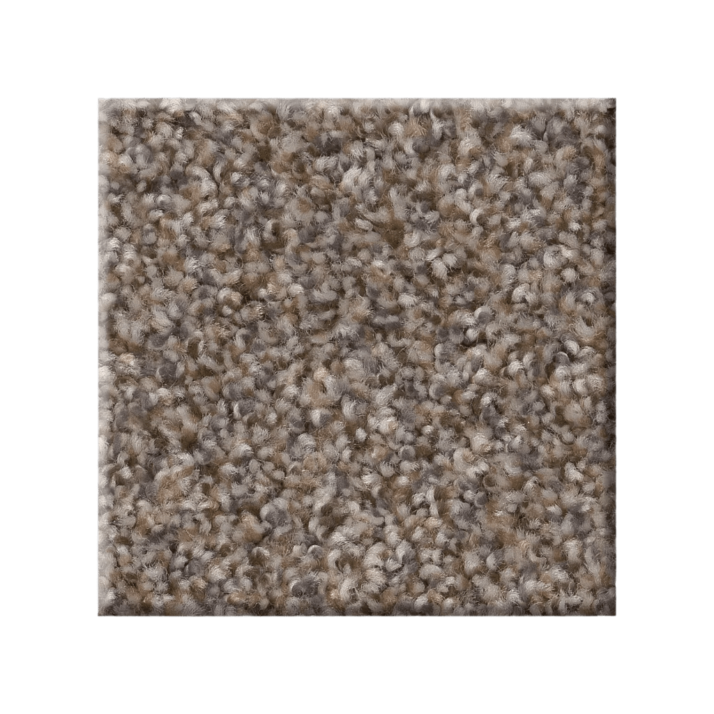 RIGHT CHOICE - 5E542 - 00113 - Carpet
