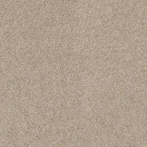 SHAKE IT UP (A) - E9446 - 00100 - Carpet