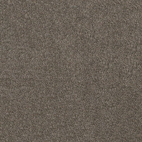 SHAKE IT UP (A) - E9446 - 00706 - Carpet