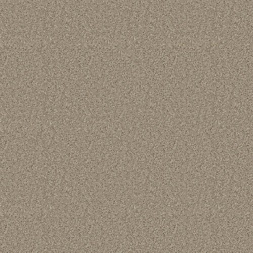 SHAKE IT UP (S) - E9699 - 00112 - Carpet