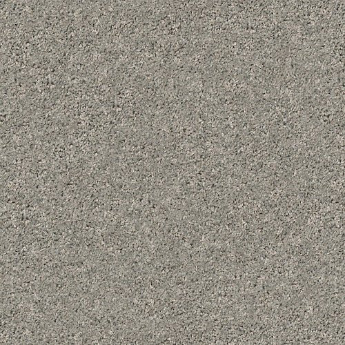 SHAKE IT UP (S) - E9699 - 00510 - Carpet