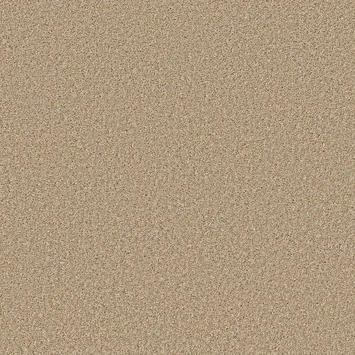 SHAKE IT UP (S) - E9699 - 00210 - Carpet