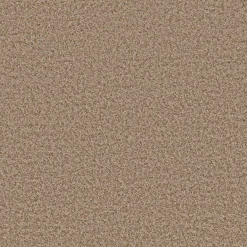 SHAKE IT UP (S) - E9699 - 00710 - Carpet