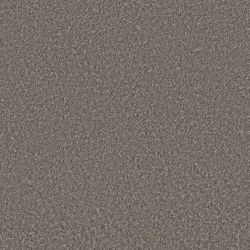 SHAKE IT UP (S) - E9699 - 00513 - Carpet