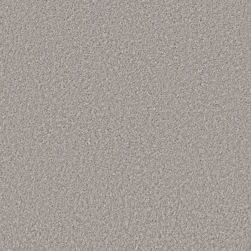 SHAKE IT UP (S) - E9699 - 00512 - Carpet
