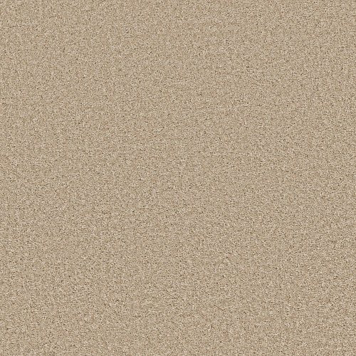 SHAKE IT UP (S) - E9699 - 00211 - Carpet