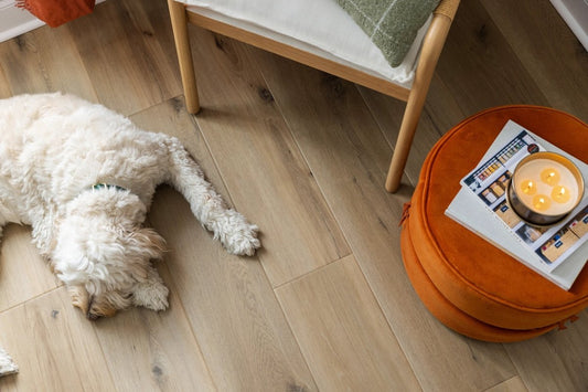 Pet-Friendly Flooring Tampa - Scratch Resistant &amp; Waterproof Solutions - ABQ Flooring Solutions