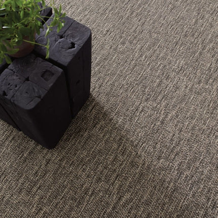 Shaw Carpet - ABQ Flooring Solutions