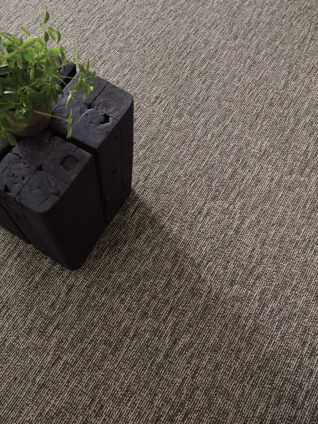 Shaw Carpet - ABQ Flooring Solutions