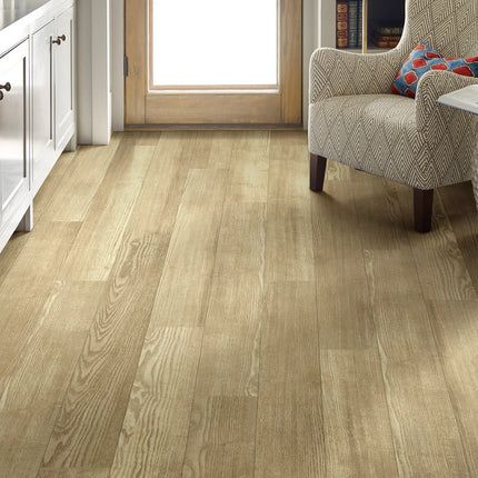 Symbiotic 12 Sandstone in a room setting