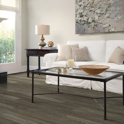 Symbiotic 12 Carbon in a room setting