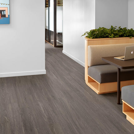 Symbiotic 12 Carbon in a room setting
