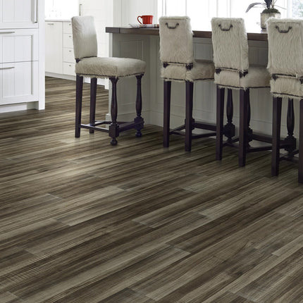 Symbiotic 12 Bronzite in a room setting