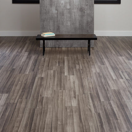 Symbiotic 12 Bronzite in a room setting