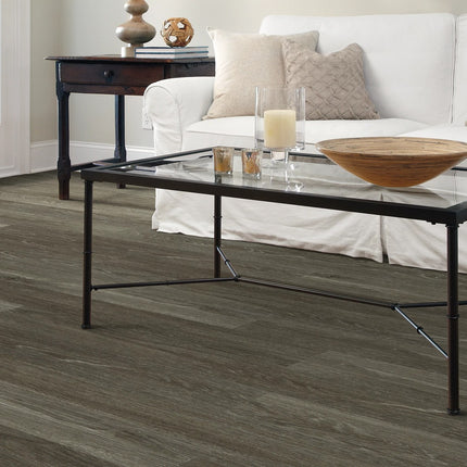 Symbiotic 20 Carbon in a room setting