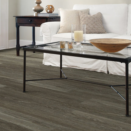 Symbiotic 20 Carbon in a room setting