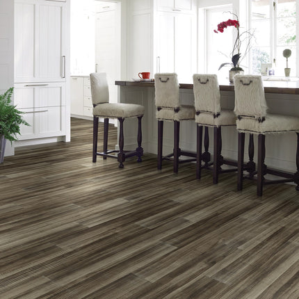 Symbiotic 20 Bronzite in a room setting