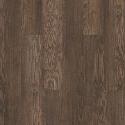 Symbiotic 20 Sweetgum in a room setting