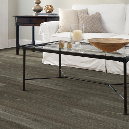 Symbiotic 30 Carbon in a room setting