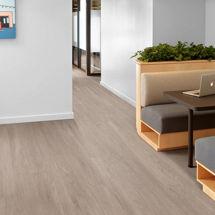 Symbiotic 5.0 Plateau in a room setting