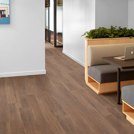Symbiotic 5.0 Cloves in a room setting