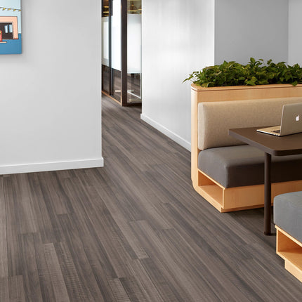 Symbiotic 5.0 Bronzite in a room setting
