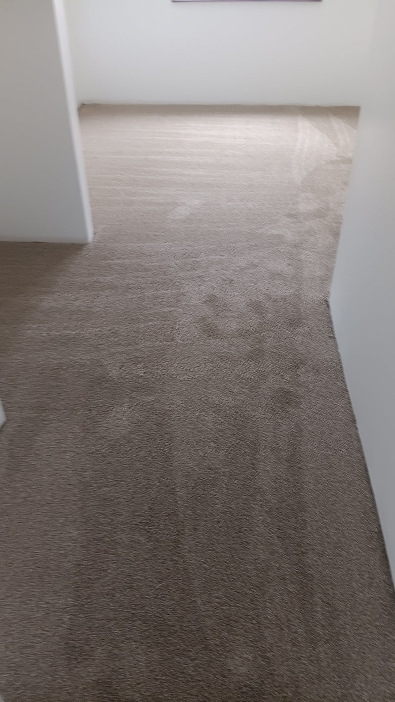 Close-up of a textured brown carpet with white walls on either side.