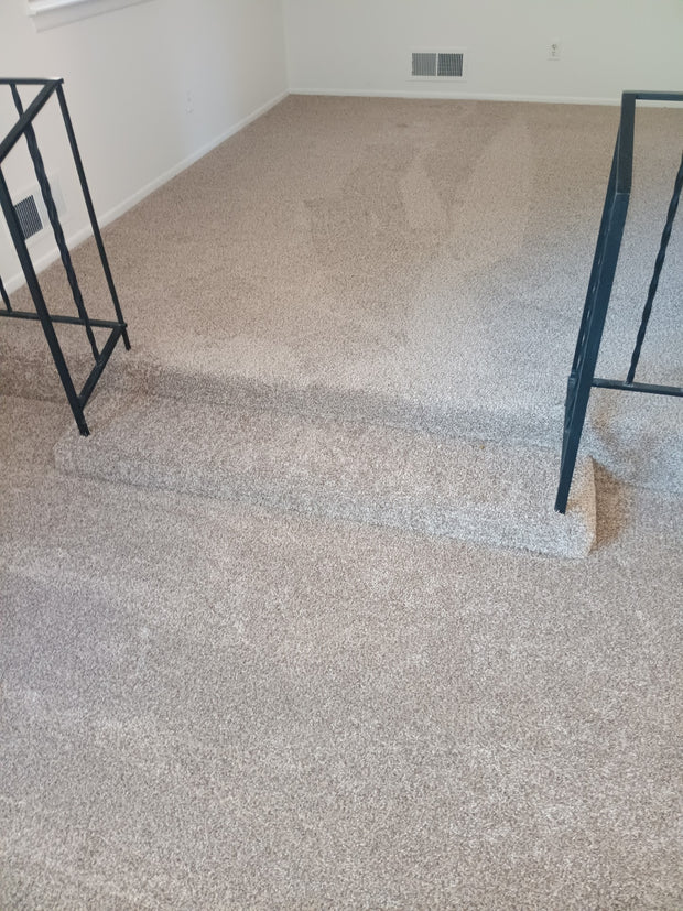 Carpeted room with two black metal frames on a plain white wall background