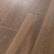 Cinnamon Bark Oak