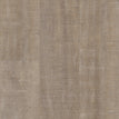 Harbor Oak