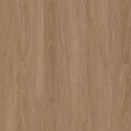 COREtec Plus XL - Highlands Oak