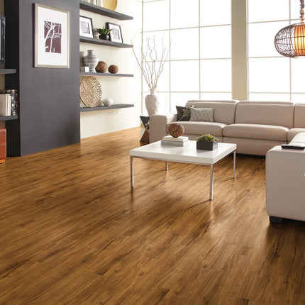 Gold Coast Acacia in a room setting