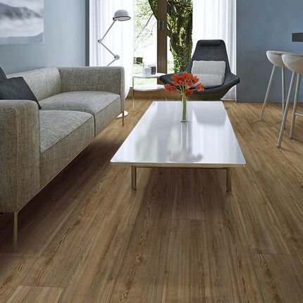 Treasure Pine in a room setting