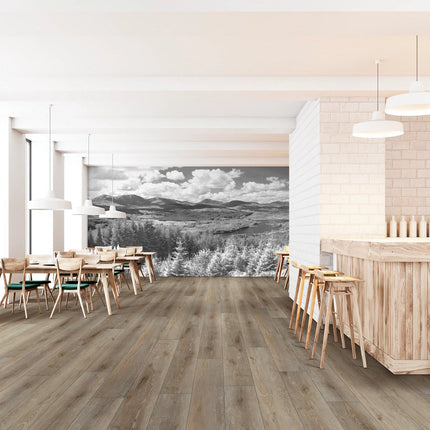 Suva Oak in a room setting