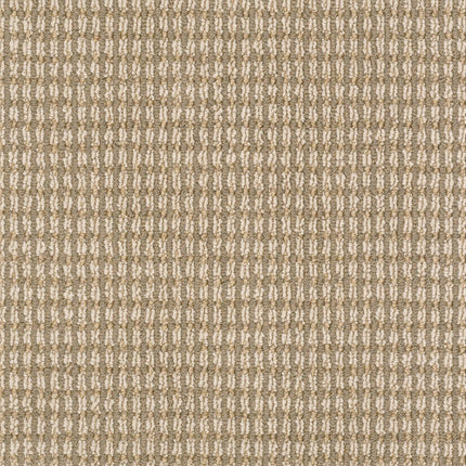 Abbey's Road - ZZ013_00236-Carpet